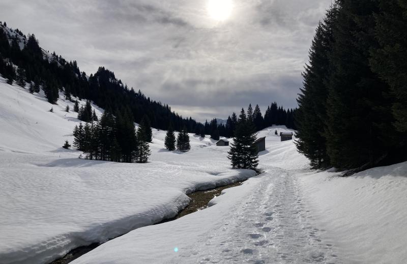 Winter 24/25