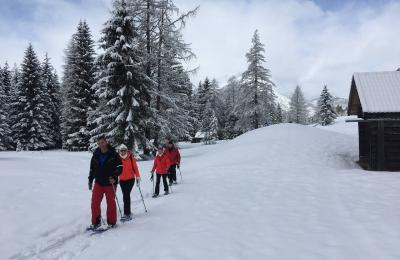 hotel-alpen-residence-ehrwald-schneeschuhtour-1946.jpg