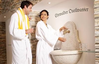 hotel-alpen-residence-trinkbrunnen-quellwasser-ehrwald-3.jpg